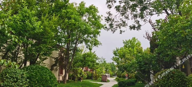 烟台白兔先生民宿图片
