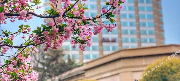 上海兴国宾馆丽笙精选图片