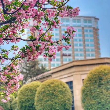 上海兴国宾馆丽笙精选图片