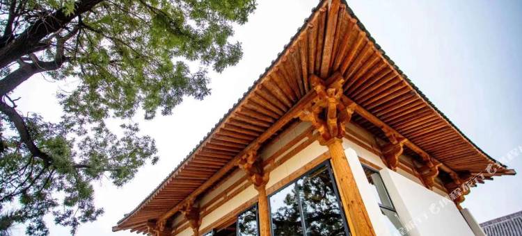 忻州東盛泉左右客民宿(忻州古城店)图片