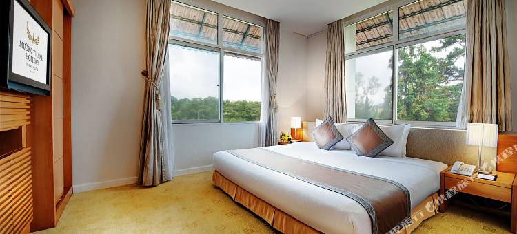 大叻曼青酒店(Muong Thanh Holiday Da Lat Hotel)图片