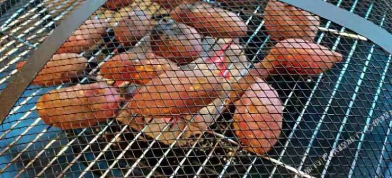 上海崇明锄禾六间堂民宿图片