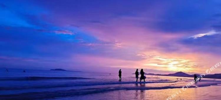 蔚莱海景酒店(三亚湾椰梦长廊凤凰机场店)图片