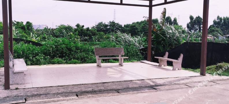 广州李明愿特色民宿图片