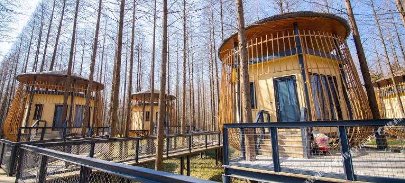 东台黄海森林酒店图片