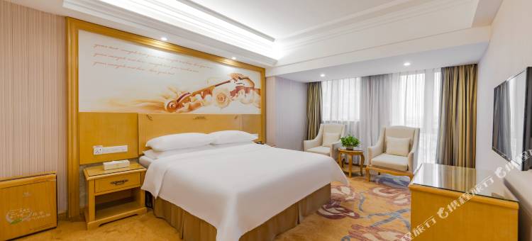 维也纳酒店(东莞沙田东莞港站店)图片