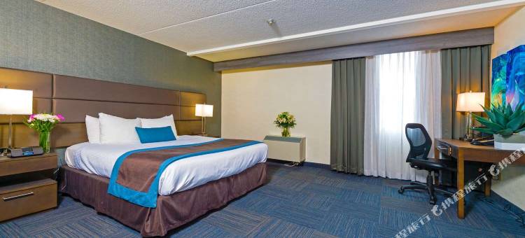 多伦多机场贝斯特韦斯特优质酒店(Best Western Plus Toronto Airport Hotel)图片