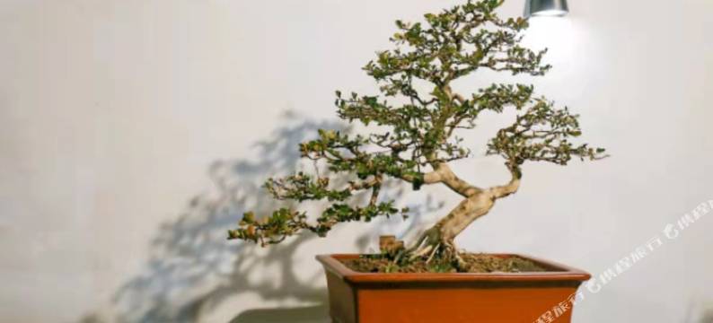 无锡雅阁兰庭酒店图片