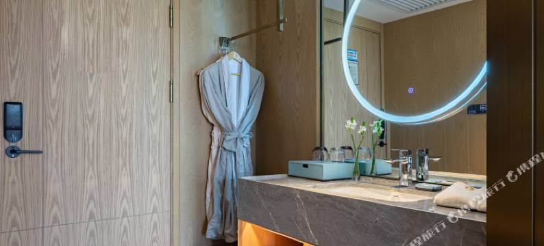 荟辰酒店(长沙洋湖湿地地铁站宜家荟聚店)图片