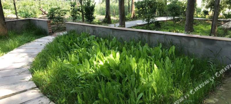 潜江度小月民宿图片