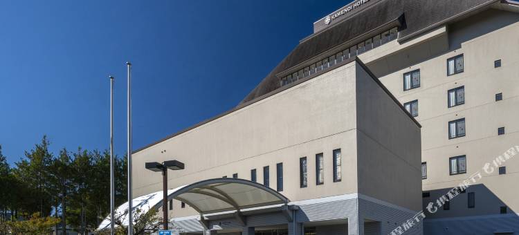 青梅龟之井酒店(KAMENOI HOTEL OME)图片