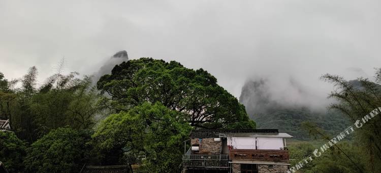 黄姚古镇一树高客栈图片