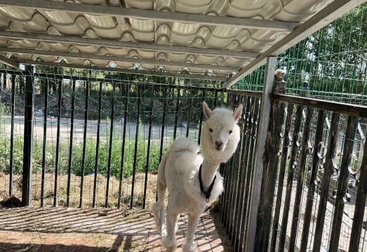 Turks Tianyue Ecology Hotel Hotel Overview