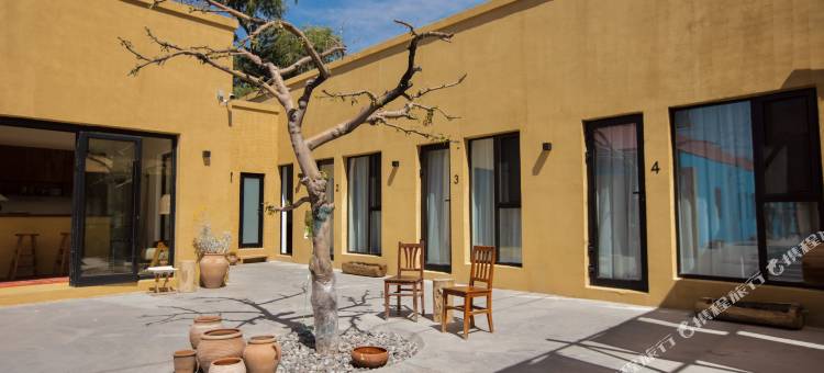 大荒民宿(伊宁机场店)图片