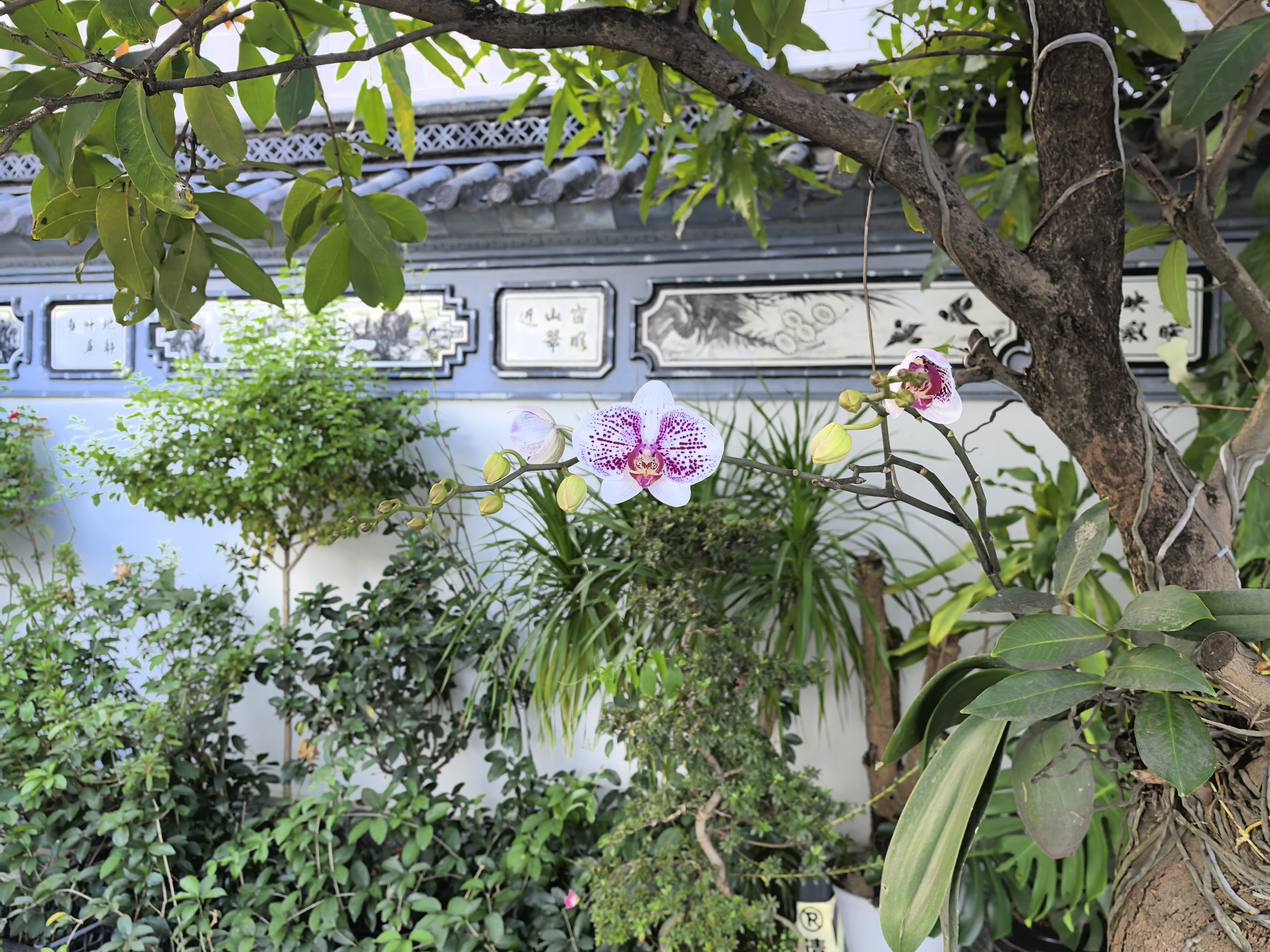 YingJiang SHIMIWADI HotelOver view