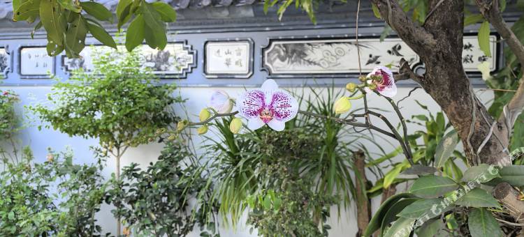 盈江诗蜜娃底大酒店图片