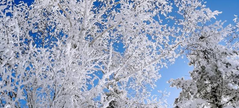 雪谷丁子涵时尚家庭旅馆图片