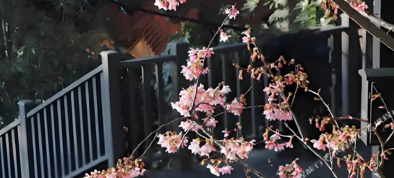 温州·穿越|时光酒店(温州5050购物中心店)图片