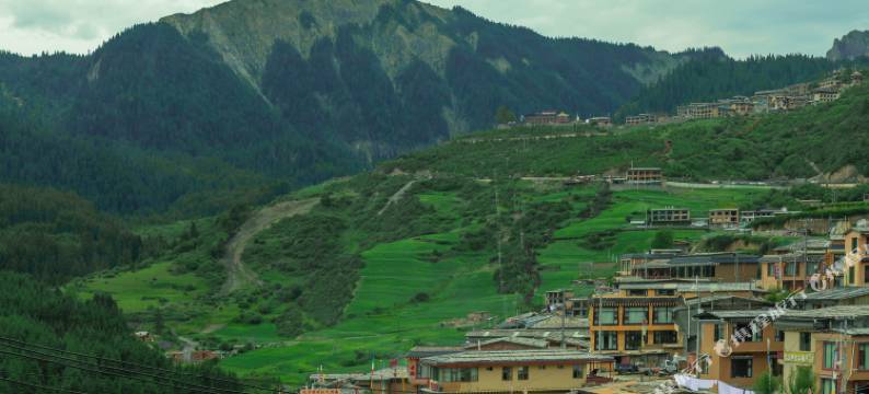 扎尕那山水云居藏家民宿图片