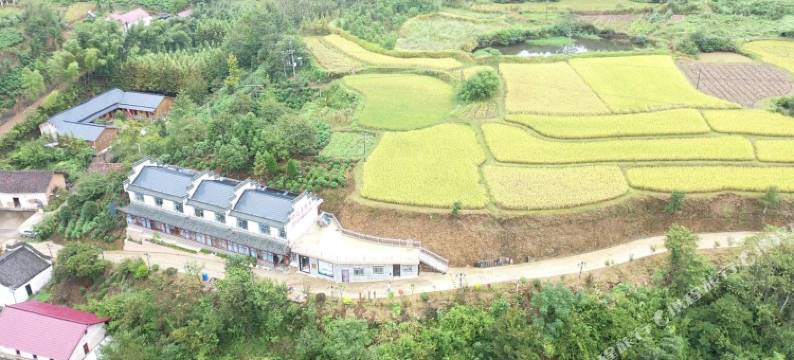 宁国绿之源农庄图片