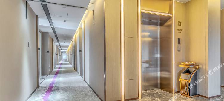 麗枫酒店(乌鲁木齐国际机场北京路新天润店)图片