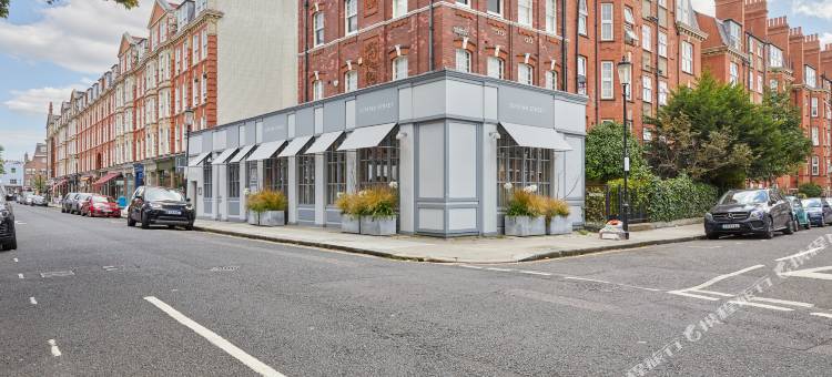 松德尔切尔西绿色(Sonder Chelsea Green)图片