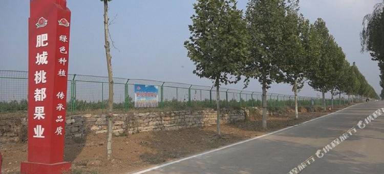 尚客优酒店(泰安肥城桃园镇文化路店)图片