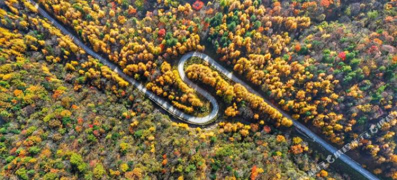 佛坪步步高酒店图片