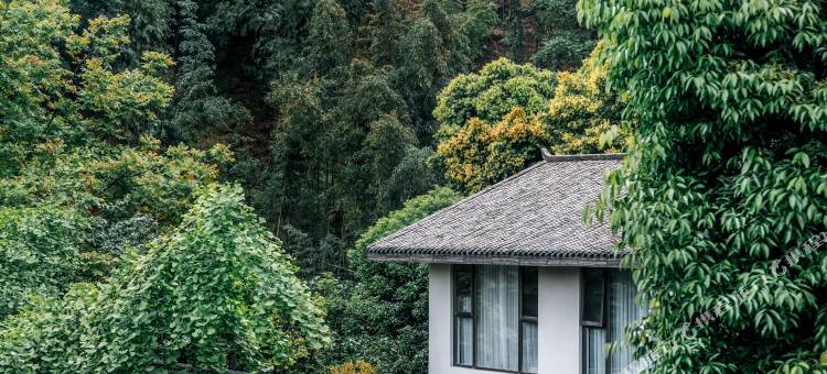 邛崃竹上花楸民宿图片