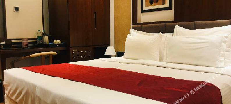 纳斯科MBC城堡酒店(Hotel Mbc Citadel Nashik)图片