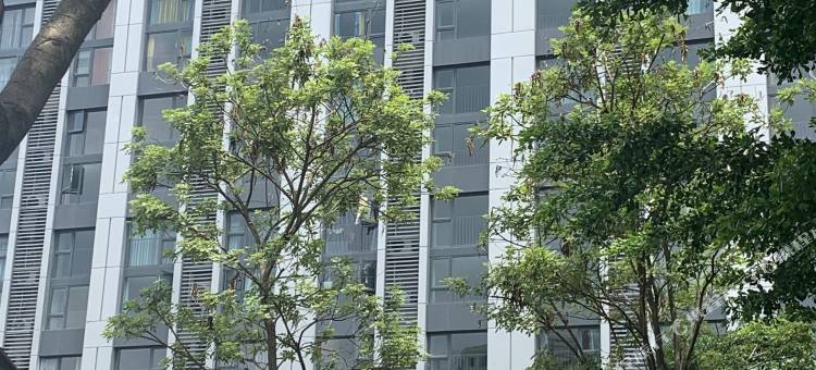 云季不凡公寓(华侨城欢乐海岸Plus二分店)图片