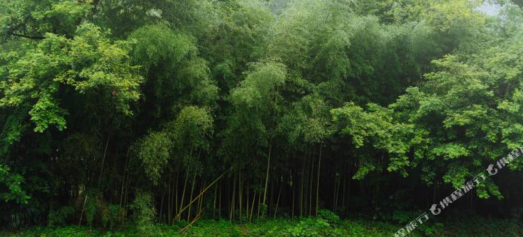 花筑·陌野溪山居民宿(宜兴竹海景区店)图片