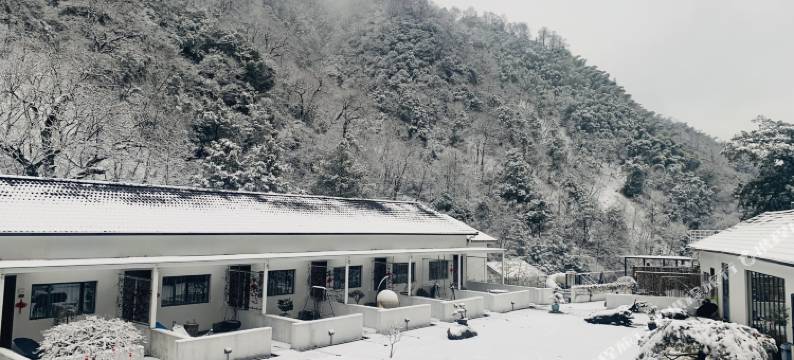 安吉山原色·山野溯溪度假美宿图片