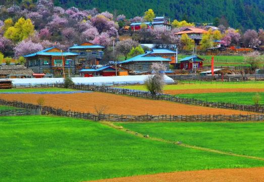 Bomi Yunsan Residence B&B (Gang Yunsan Forest Scenic Area Store) Hotel Overview