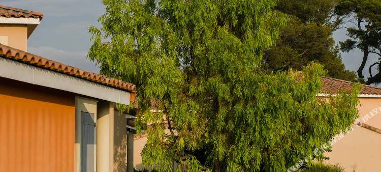 高尔夫庄园酒店(Le Domaine du Golf by Ateya Vacances)图片