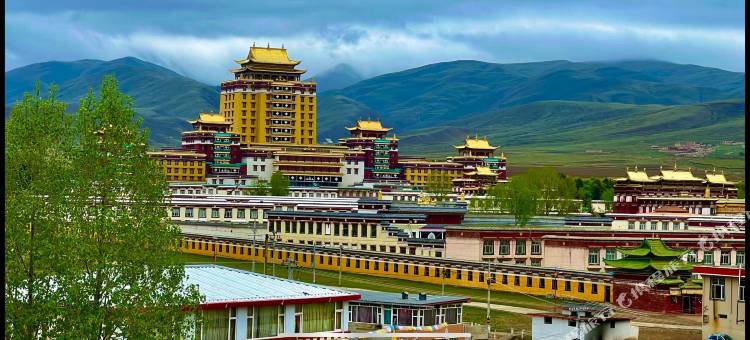 贵宾酒店(阿坝格尔登寺店)图片