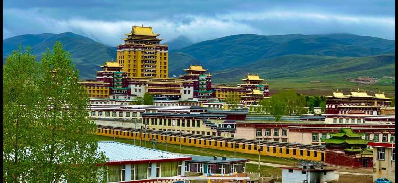 贵宾酒店(阿坝格尔登寺店)图片