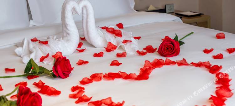 麗枫酒店(海口美兰机场店)图片