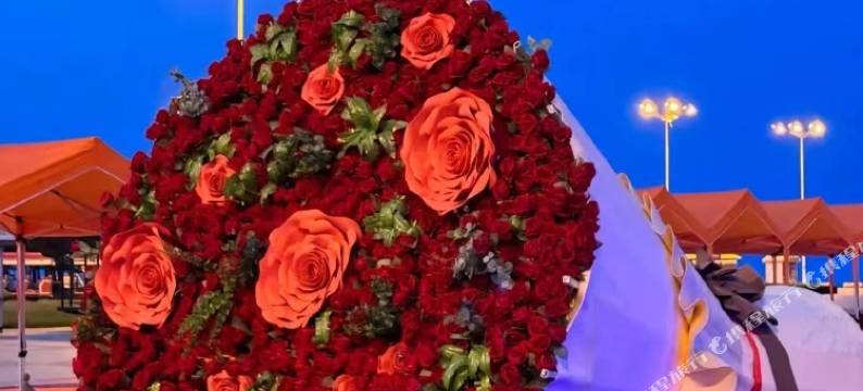 日照依澜居民宿图片