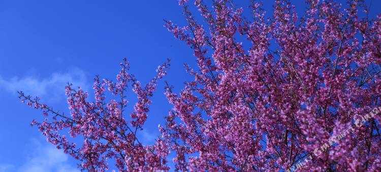 抚仙湖小湾壹号民宿图片