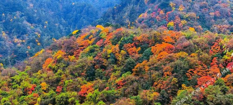 冶勒湖壹间小院民宿图片