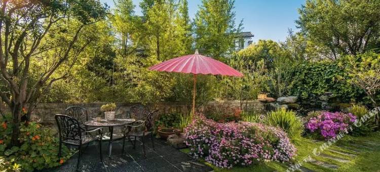 大理隐居民宿图片