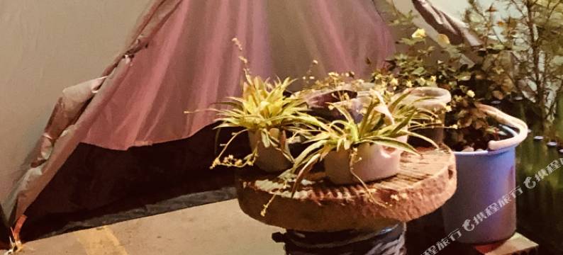 墨问青年旅舍(洛邑古城丽景门十字街店)图片