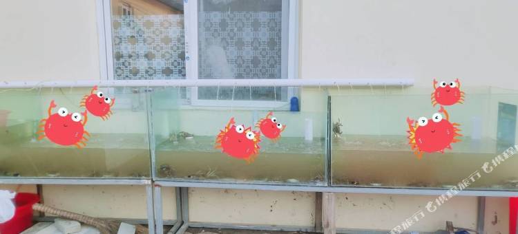 盘锦彭磊农家院图片
