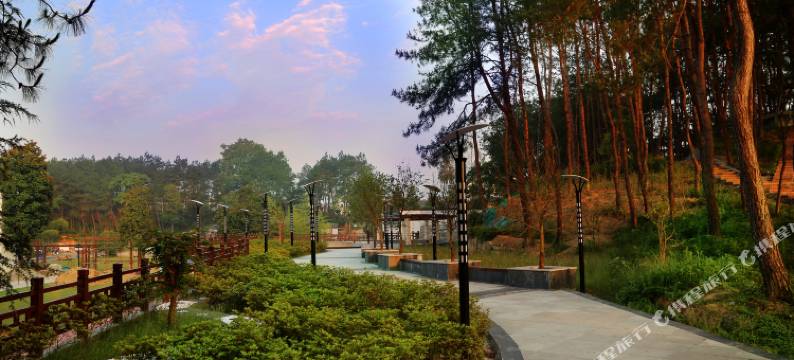 黄山维居烟草迎客松宾馆图片