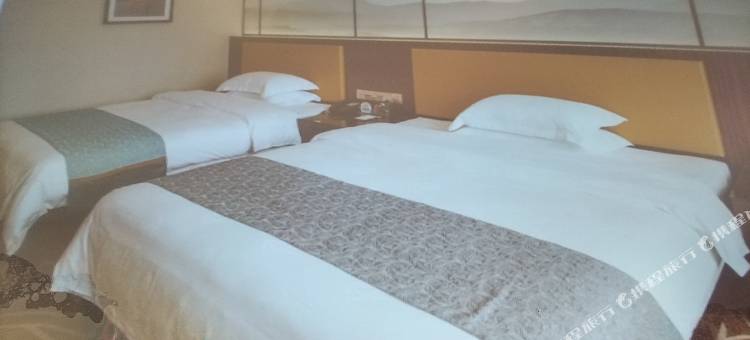 河曲美辰大酒店图片