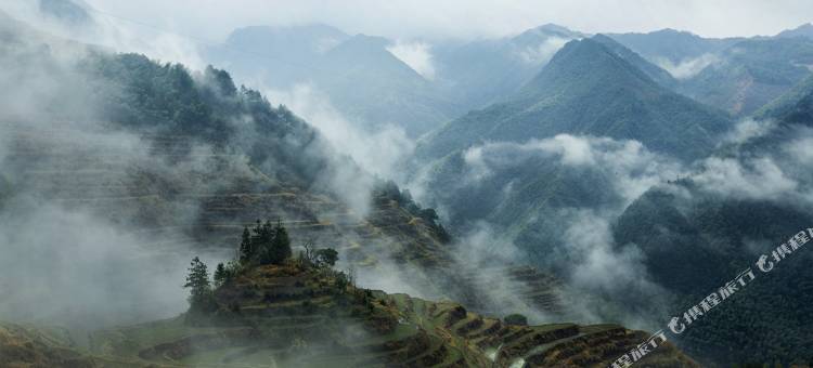 花筑·钟灵毓秀·雲中自在居·百年进士府邸(景宁云中大漈店)图片