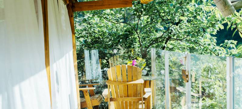 绥宁铁杉林苑民宿图片