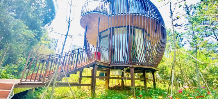 栖凤·半山星宿图片