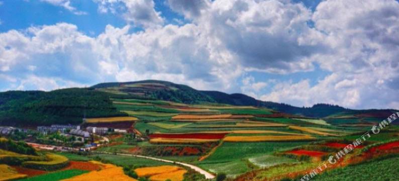 米易龙福苑民宿图片